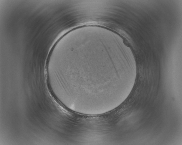 X0000059221428200511111510