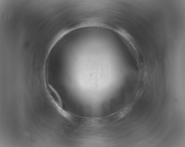 X0000059221438200511111510