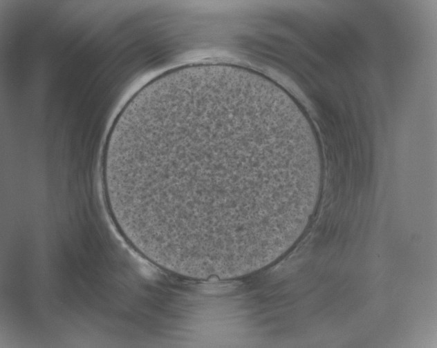 X0000059221440200511111510