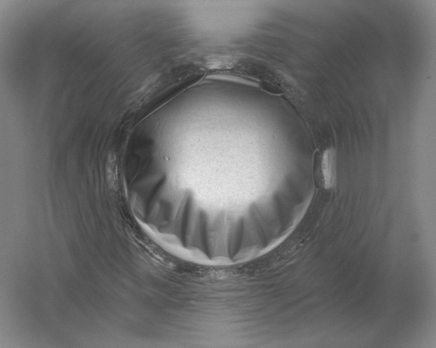 X0000059221443200511111509