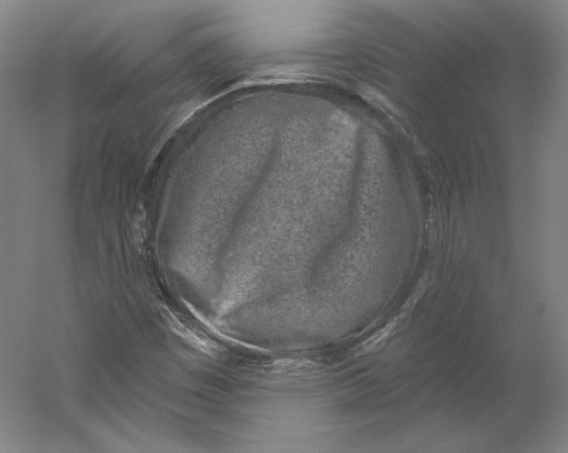 X0000059221449200511111509