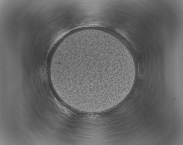 X0000059221452200511111509