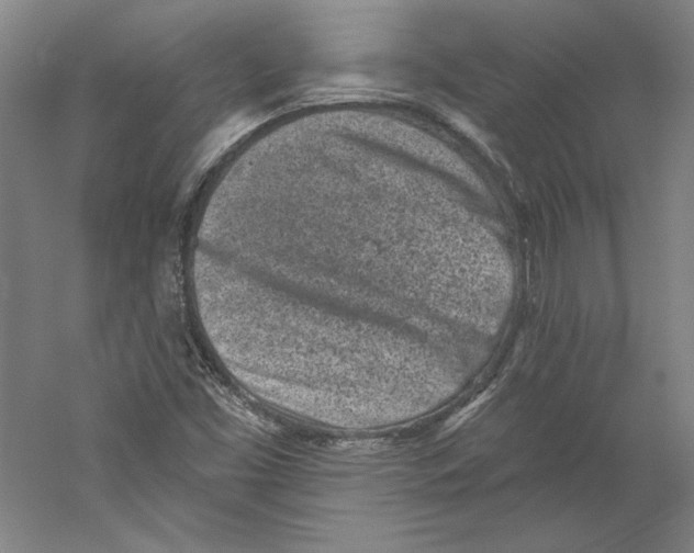 X0000059221453200511111509