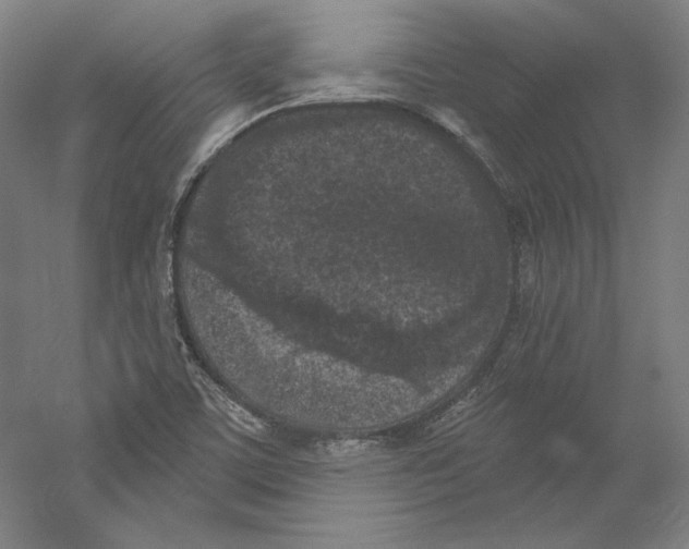 X0000059221459200511111509