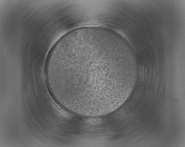 X0000059221466200511111509