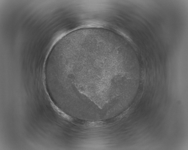 X0000059221471200511111509