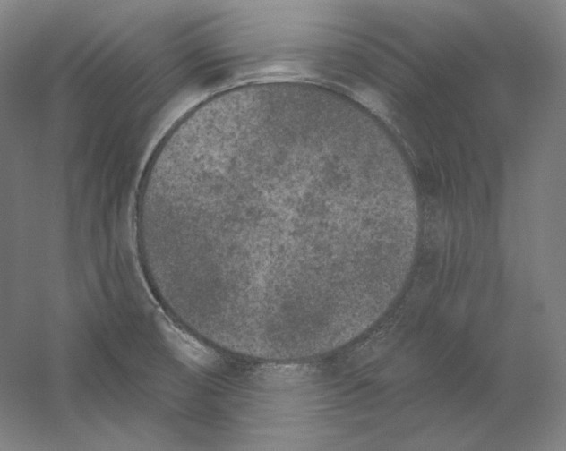 X0000059221474200511111508
