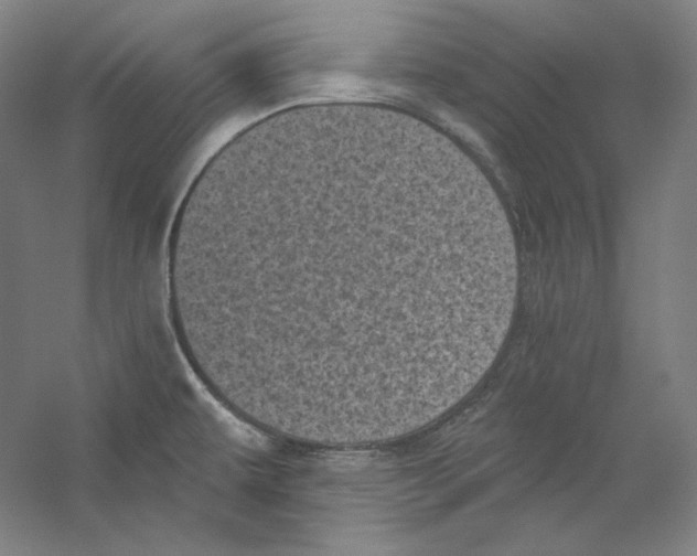 X0000059221479200511111508