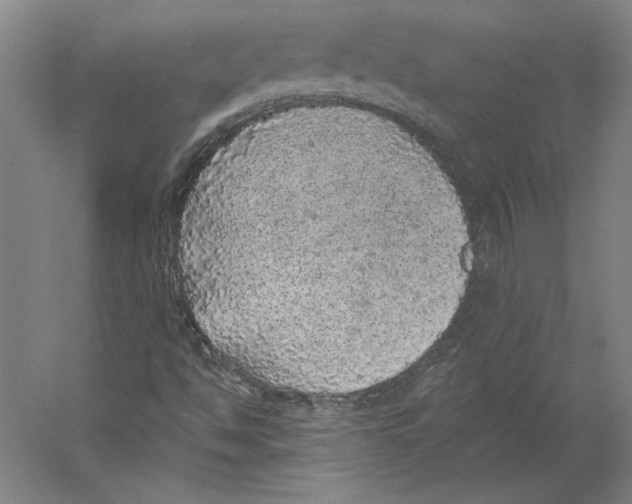 X0000059221494200511111508