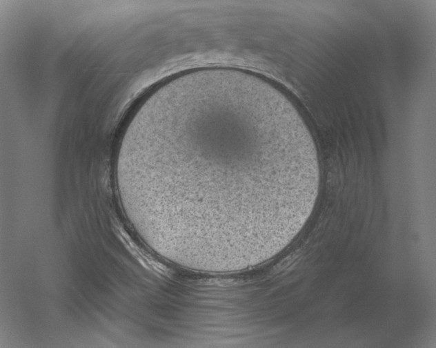 X0000059221499200511111508