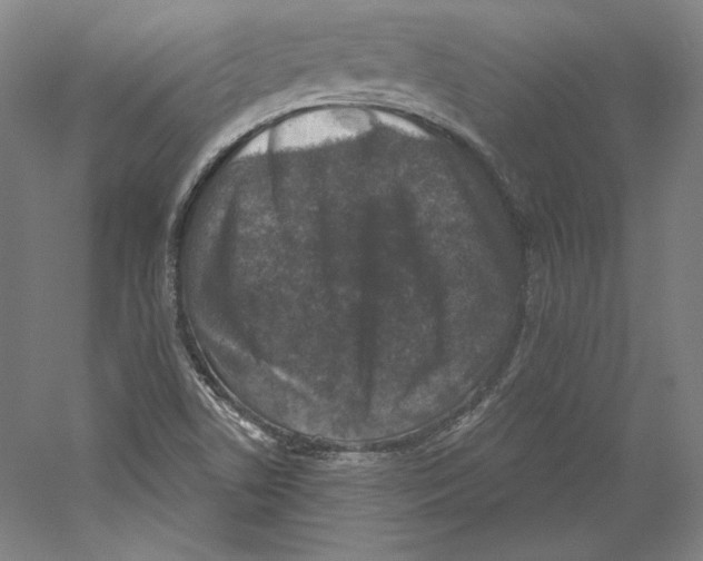X0000059221506200511111508