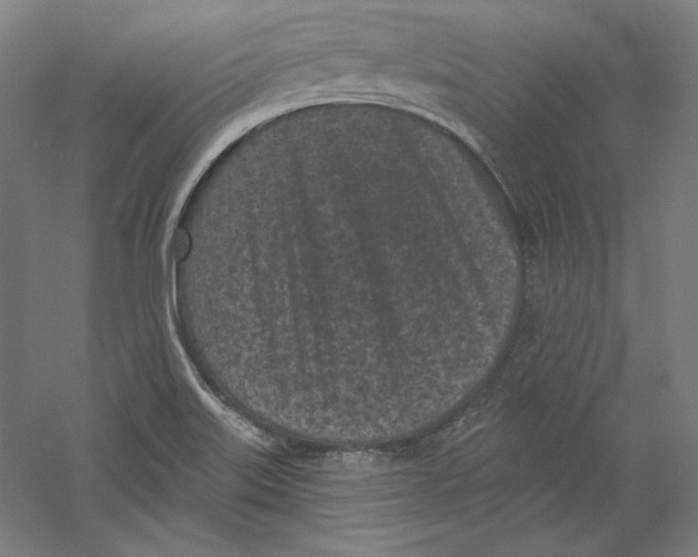 X0000059221515200511111508