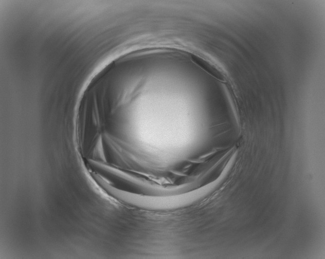 X0000059221528200511111508