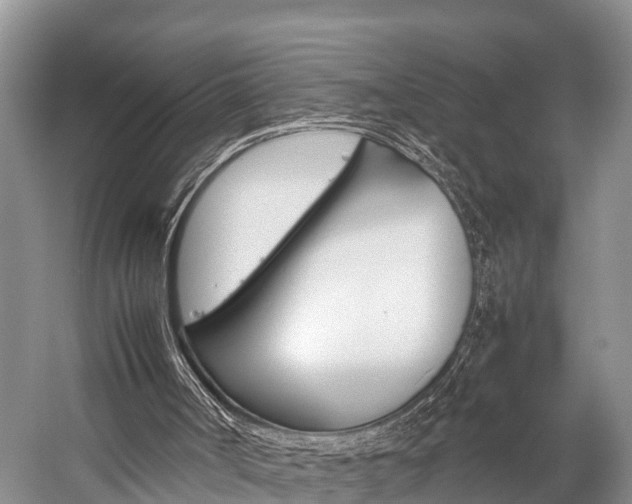 X0000059230002200510140839