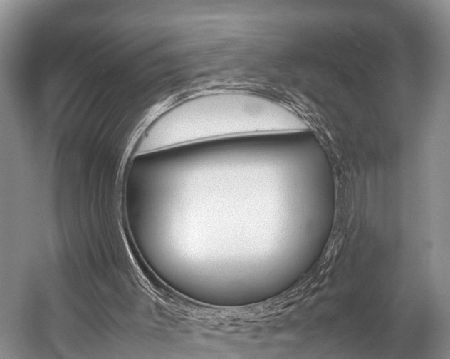 X0000059230003200510140839
