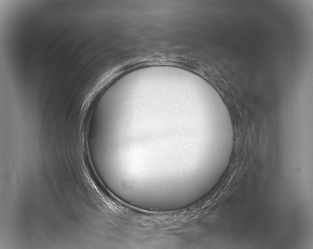 X0000059230005200510140839