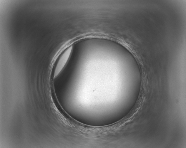 X0000059230007200510140839