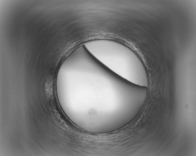 X0000059230010200510140839