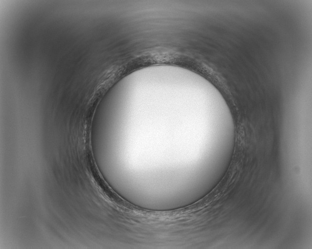 X0000059230018200510140838