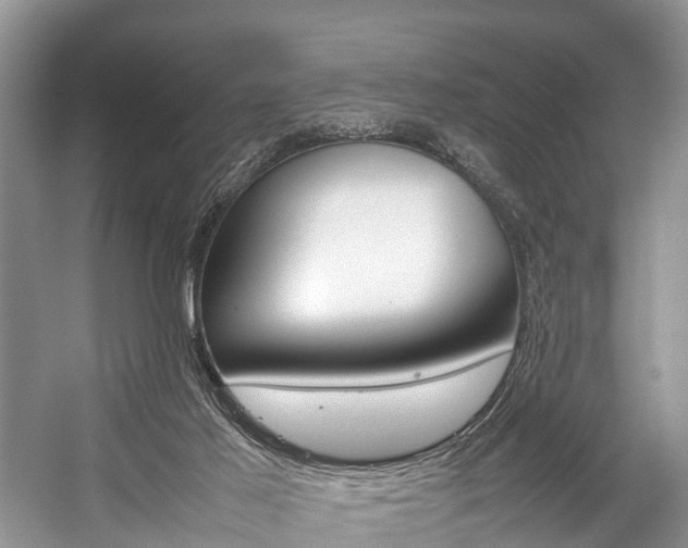 X0000059230021200510140838