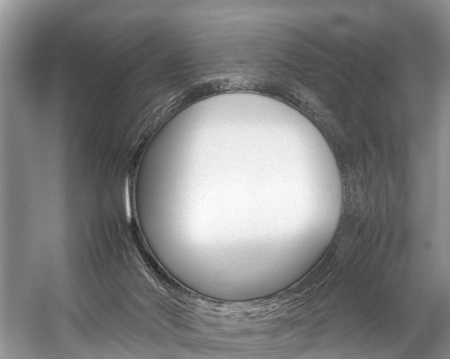X0000059230022200510140838