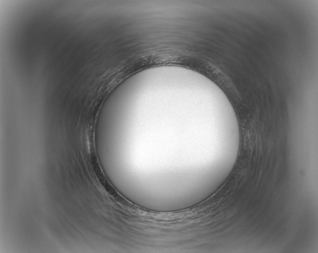 X0000059230026200510140838