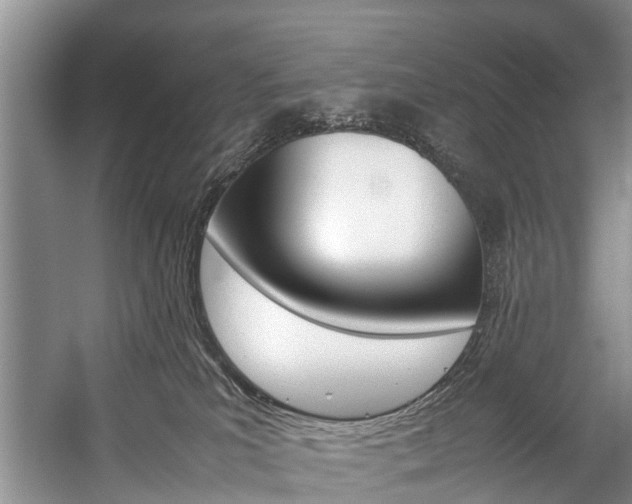 X0000059230039200510140838