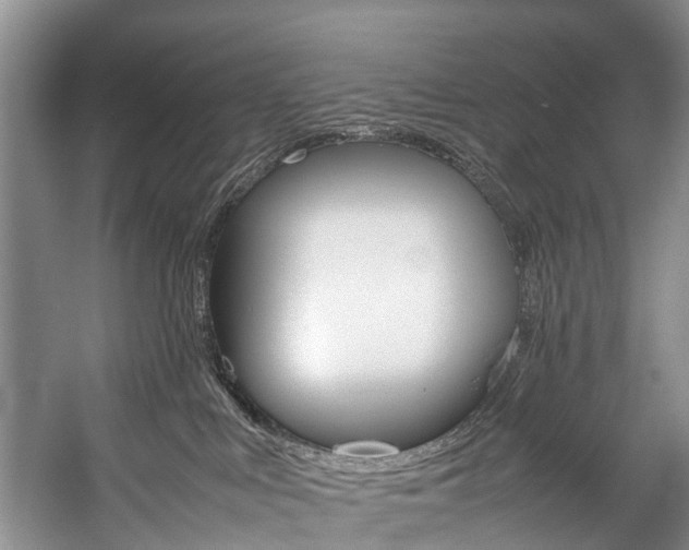 X0000059230043200510140838