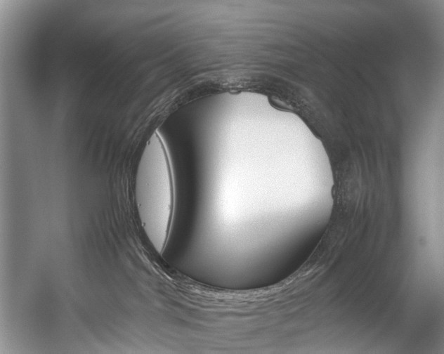 X0000059230044200510140838