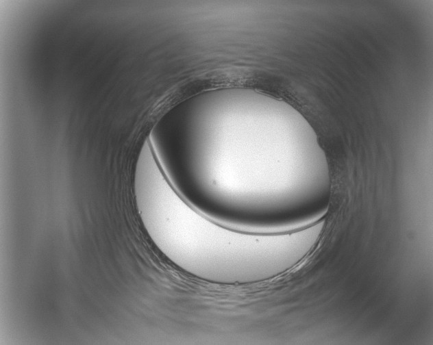 X0000059230045200510140838