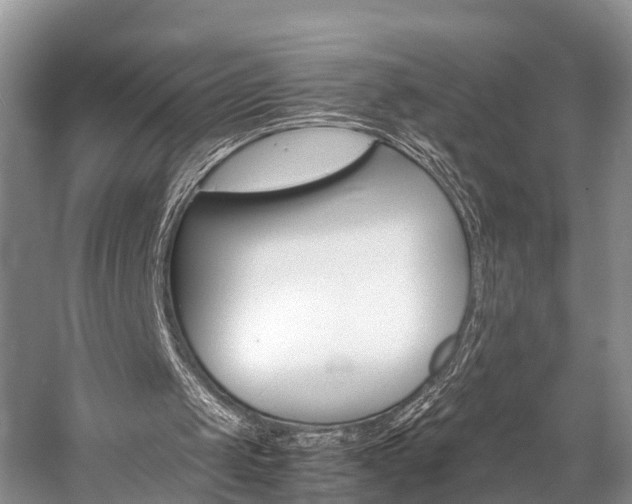 X0000059230049200510140837