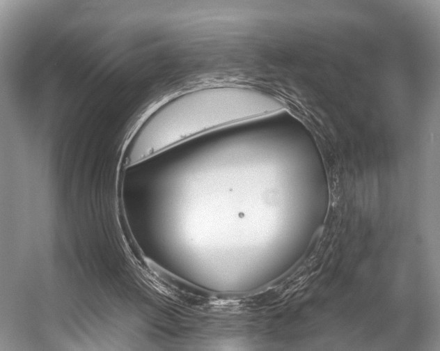 X0000059230052200510140837