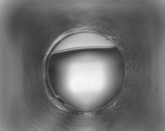 X0000059230056200510140837