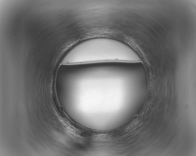 X0000059230058200510140837