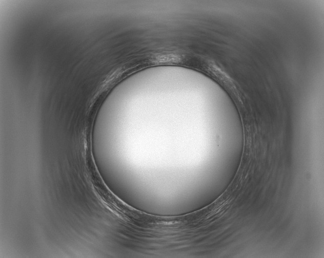 X0000059230059200510140837