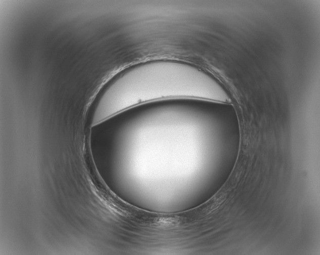 X0000059230060200510140837