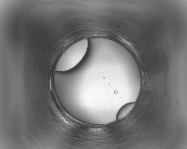 X0000059230061200510140837