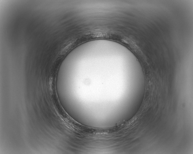 X0000059230066200510140837