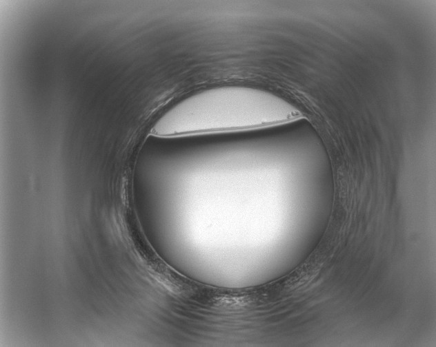X0000059230071200510140838