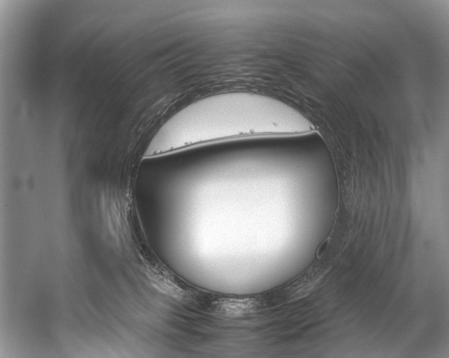 X0000059230085200510140838