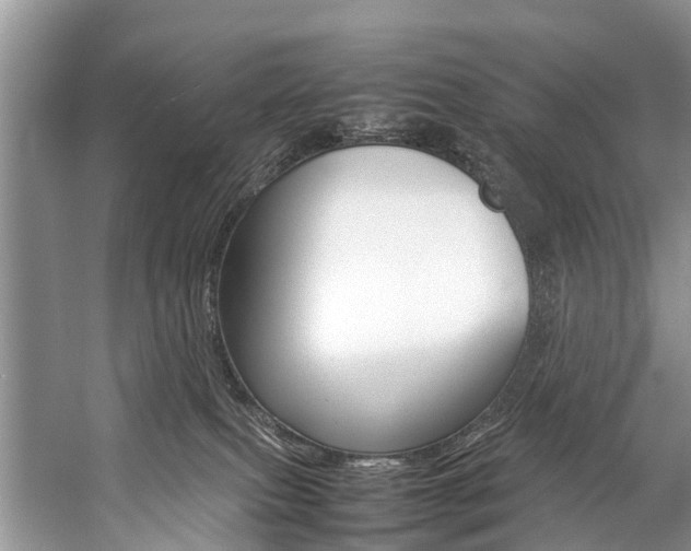 X0000059230087200510140838