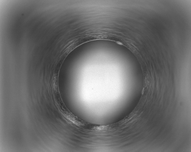 X0000059230092200510140838