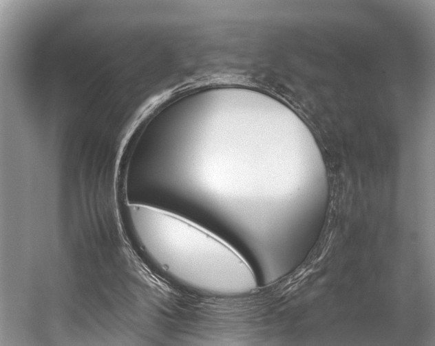 X0000059230104200510140837