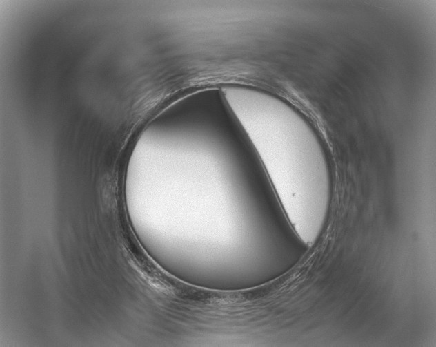 X0000059230107200510140837