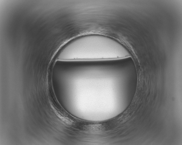 X0000059230108200510140837