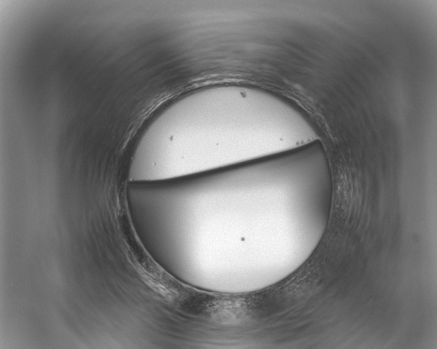 X0000059230110200510140837