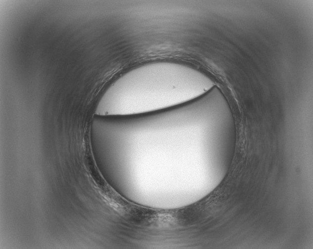 X0000059230114200510140837