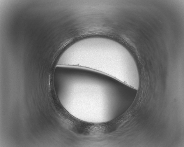 X0000059230115200510140837