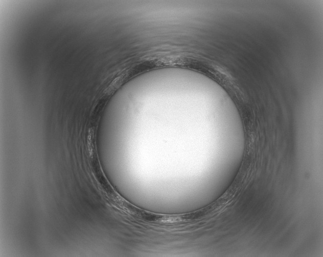 X0000059230121200510140837