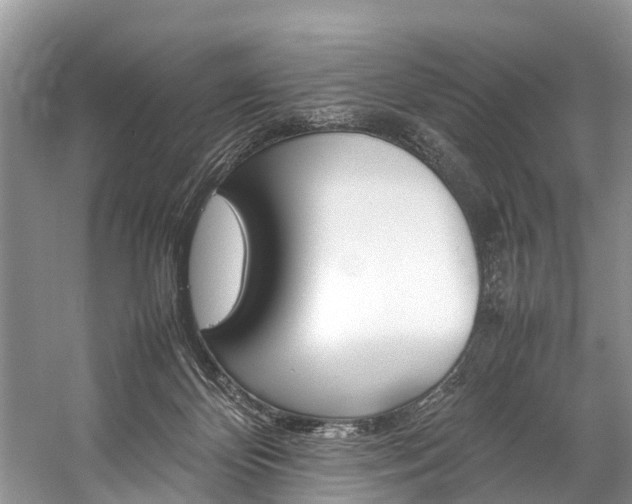 X0000059230124200510140837